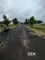 VERY LOW BUDGET PLOT FOR SALE IN ANAKAPALLI