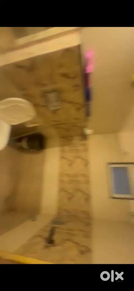 Beautiful furnished flat with balcony on rental purposeor for sale