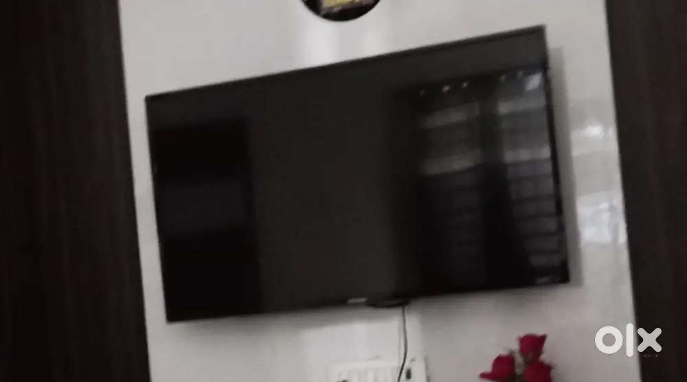 Tv hikawa, 43 inch&activa
