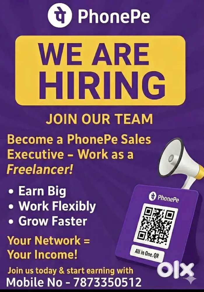 Phonepe FL ( QR/ SOUND BOX/ SERVICE/ Loan)