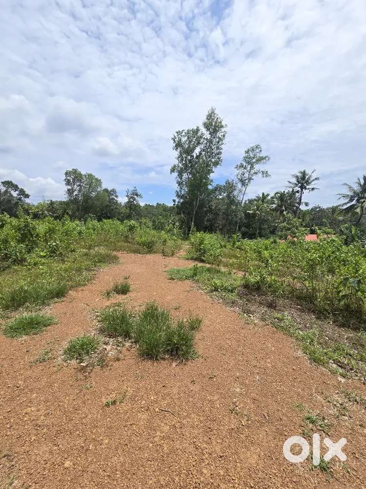 82CENT PLOT POTHENCODE VAVARAMBALAM TECHNOCITY lak