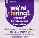 Phone pe Business