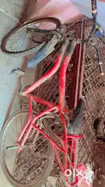 Cycle Red Color Bicycle
