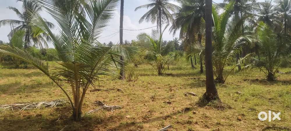 3 acres of land main road huliyar tumkur. 1 crore 20 lakhs slightly