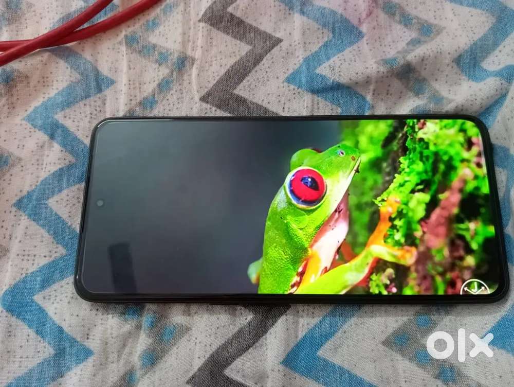 OnePlus 10r 12-256