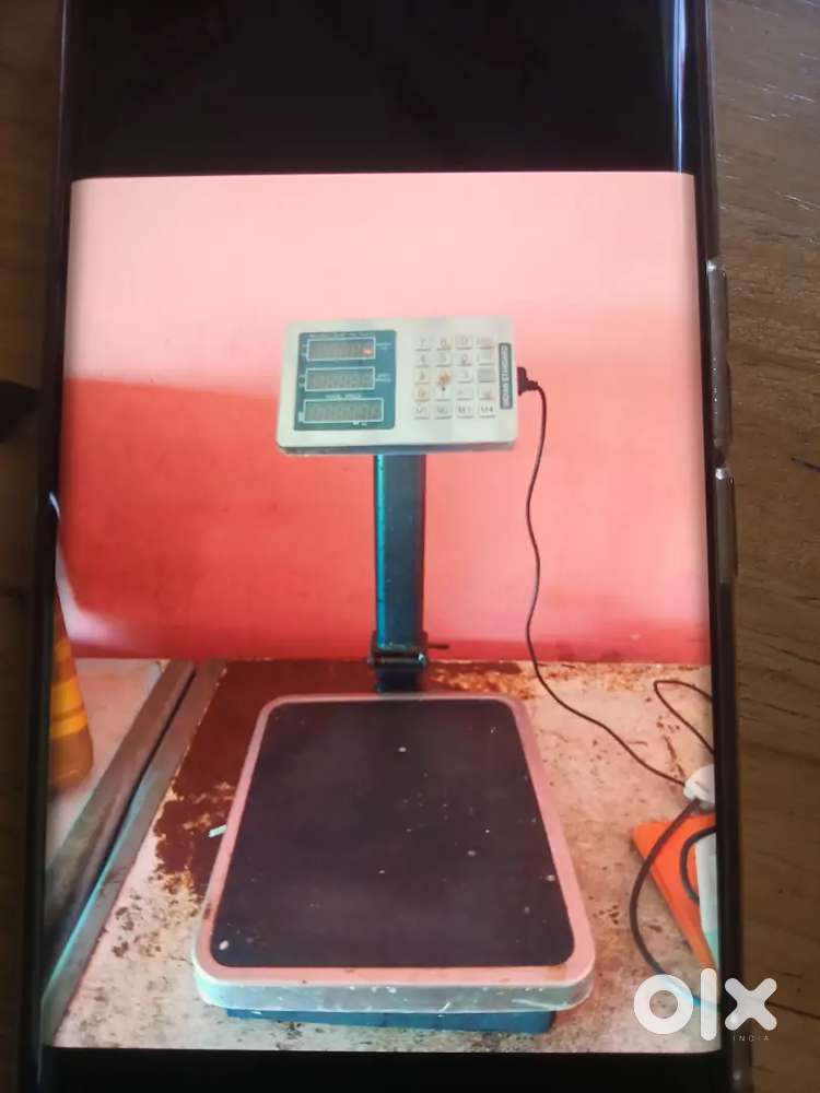 Sales for fish shop items