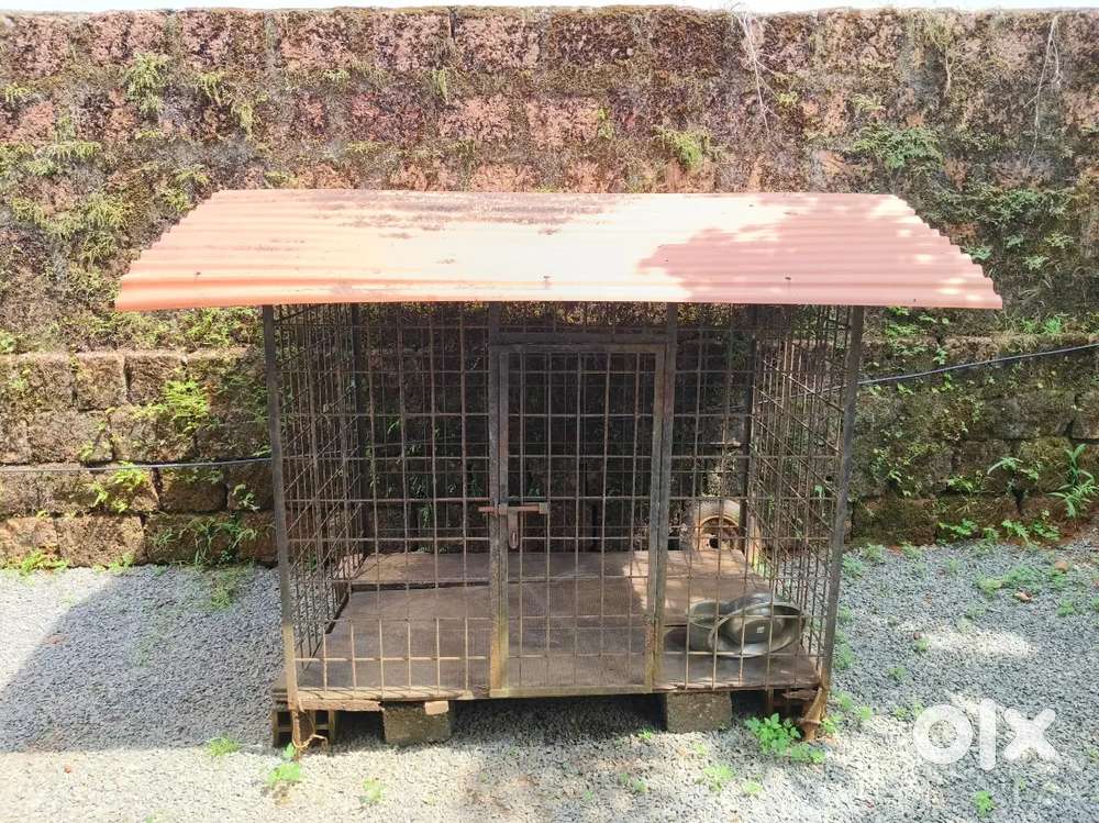 Dog Cage for All Breeds – Strong, Safe & Spacious