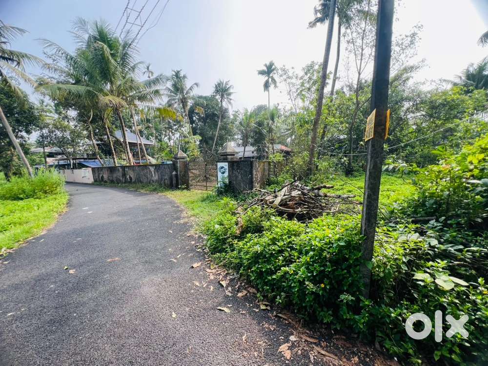 Aluva uc college 10cent cent 4.50lakh