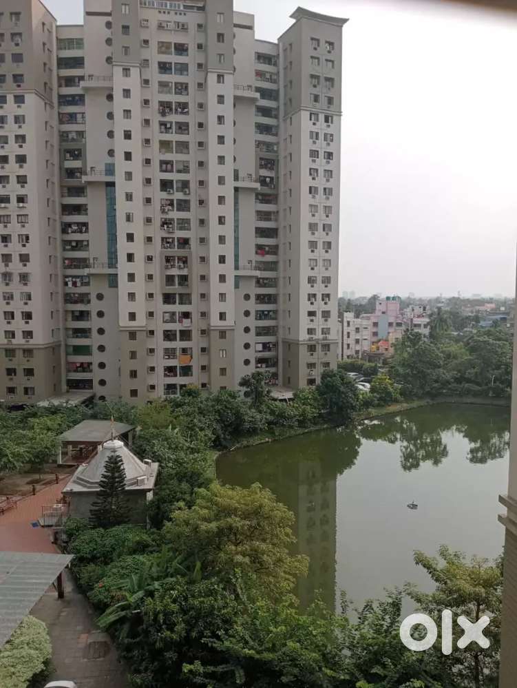 Diomond city south 3 bhk fully furnished flat rent - 60 k