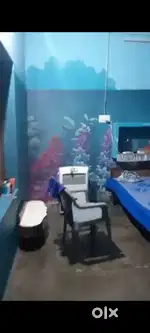 Room kitchen for female only