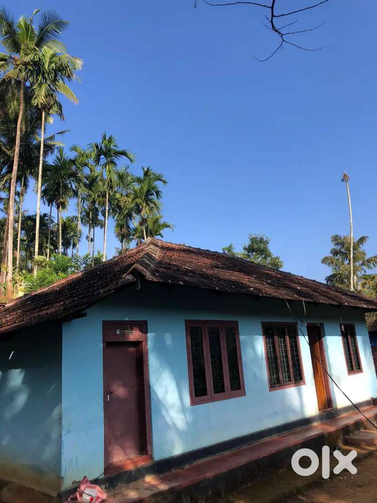 Sulthan bathery, kattayad best resort area, 50 cent,pluse one