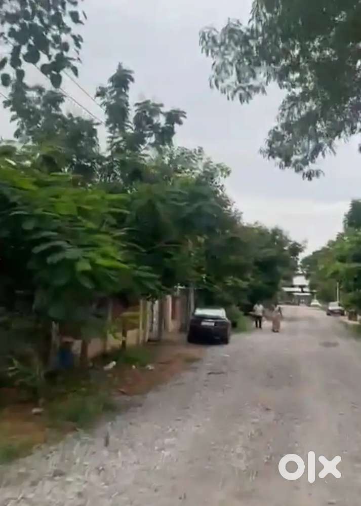 Moinabad Premium plot for Sale 474Sq.yrd