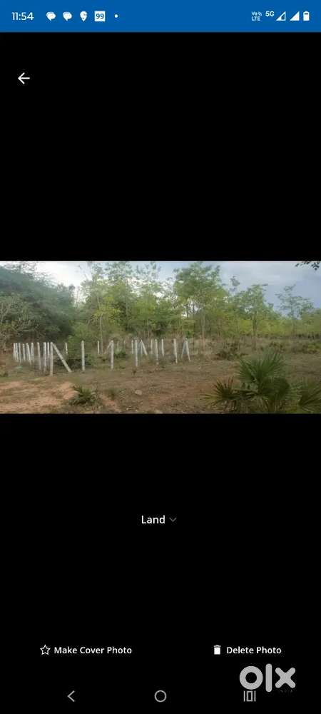 40 ft road fencing plot with sandal trees
