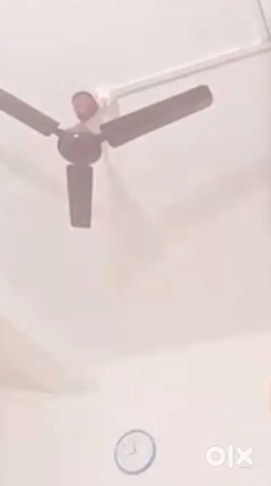 Independent rent house