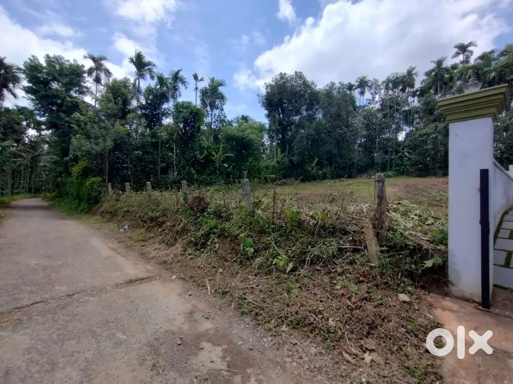 The perfect place to call home,only 200 meter far  from  highway