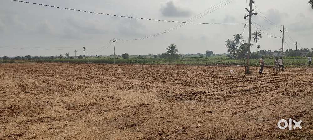 Different size Plot Avilable Vithlapuram front of High school