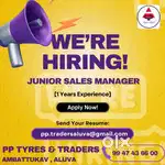 Junior Sales manager