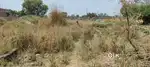 Mama bahina talab me property for sale