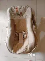 Bouncer cum rocker