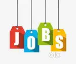 PERMANENT WORK FROM HOME FOR FEMALE