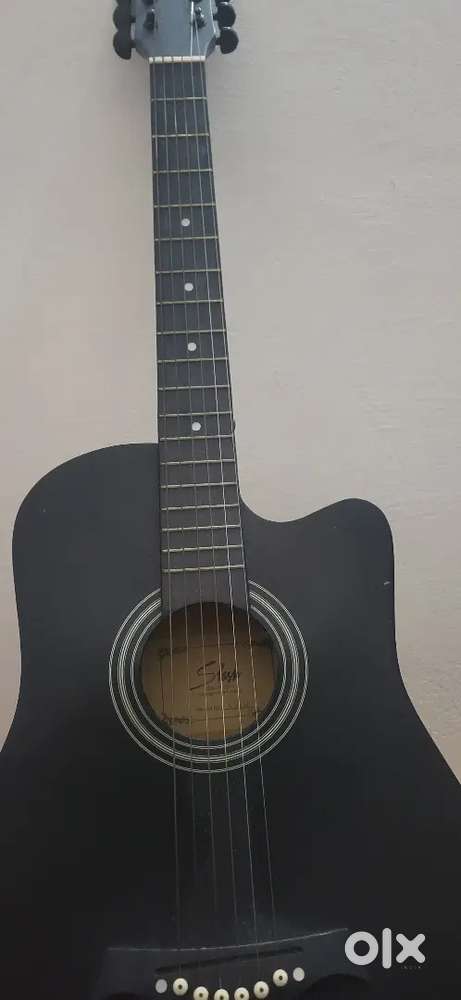 Guitar with bag  slash company