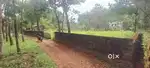 25 CENT HOUSE PLOT NEAR PATTIMATTOM