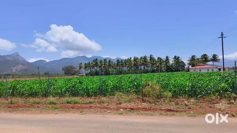 2 Acre Road based East facing Agriculture Land for Sale