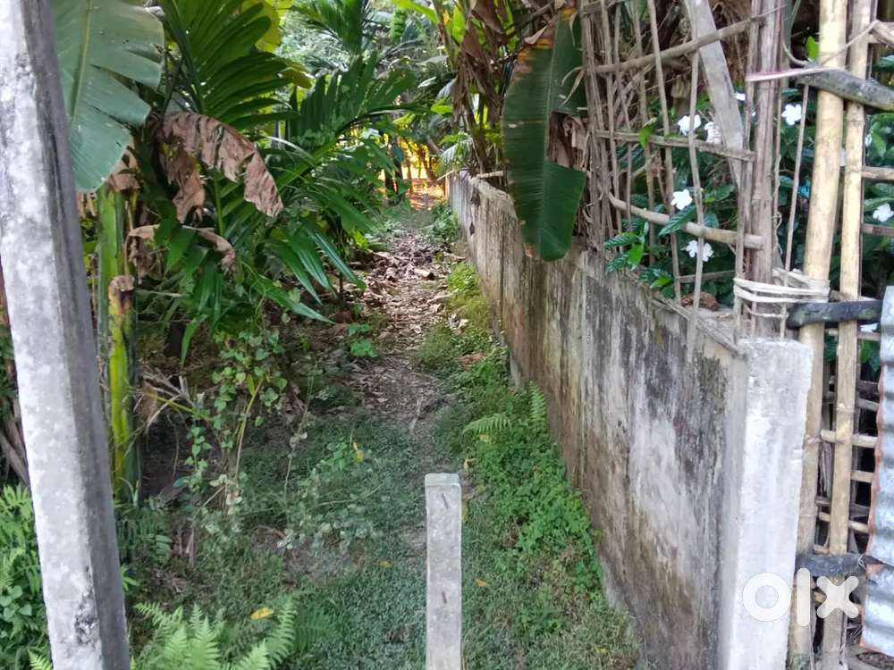 1 katha 5 lessa miyadi residential plot for sell nalana dharampur path