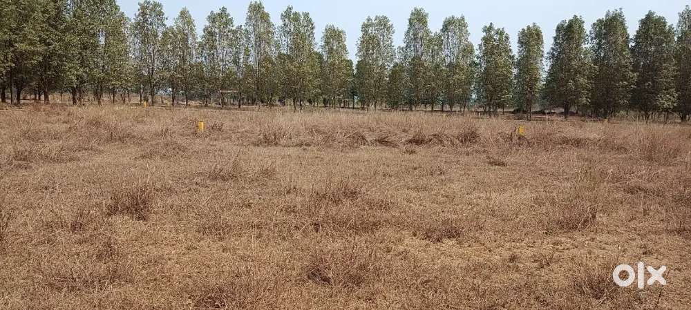 Site for sale