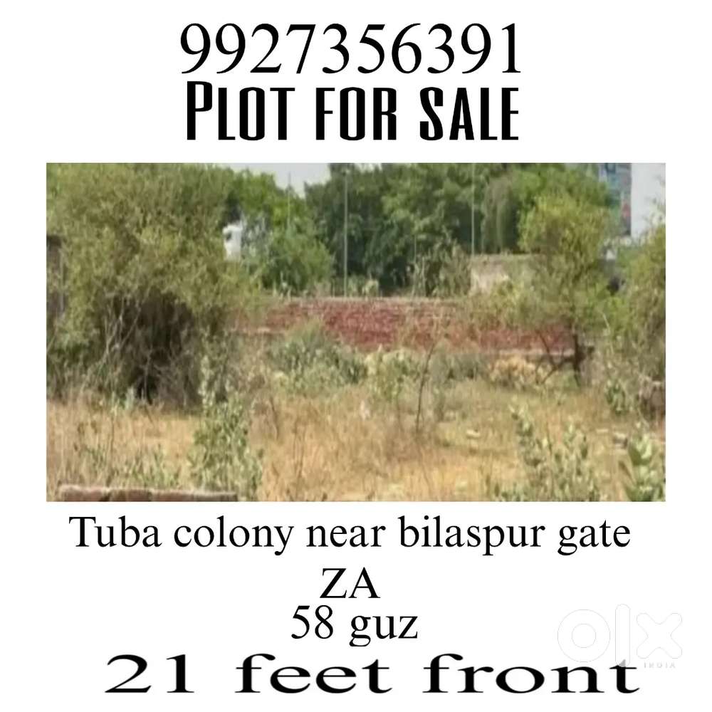 Nayi basti or bilaspur gate petrol pump dono raste hain