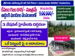11 Cents Farm Land + 53 Trees – Own Land in Your Name