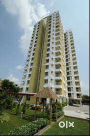 FLAT FOR RENT PALAKKAD