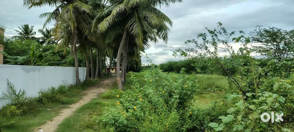 3.5 acres Land for sales