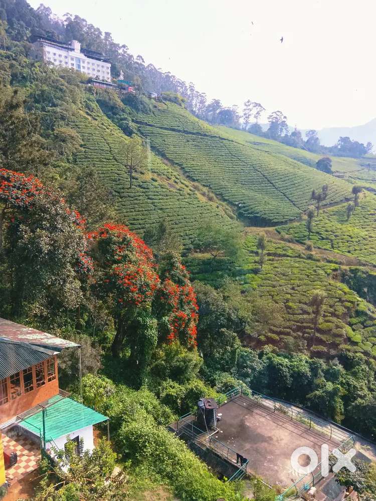 വീട്ടിൽ ജോലിക്കു നിക്കാൻ ആളെ ആവശ്യം ഇണ്ട് ലേഡീസ് കിടങ്ങൂർ