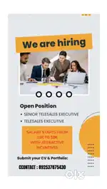 Telesales executive