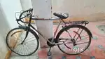 Old model rasing cycle