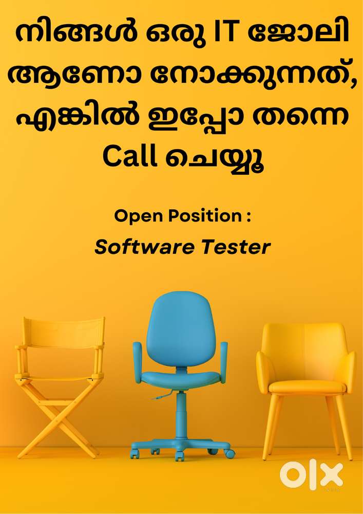 Software Tester