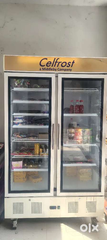 1-Celfrost 1000 litres - 2 Deep freezers - 2 small size deep freezer