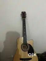 Guiter intern