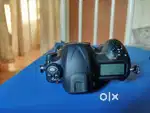 Nikon D5 XQD Version