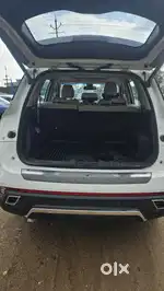 MG Hector 2023 Diesel 49900 Km Driven