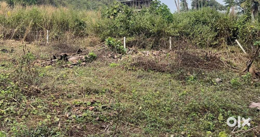 Plot for sale in Dabolim