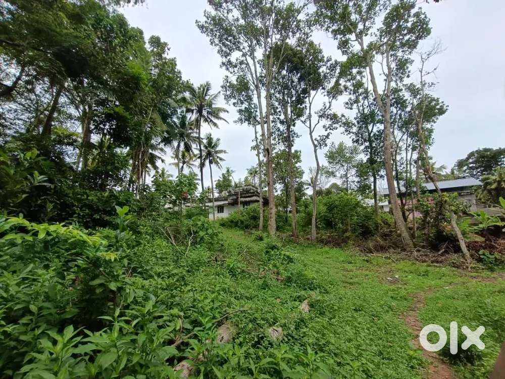 10 cent residential plot