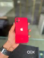 iPhone 11 (128)Gb Red
