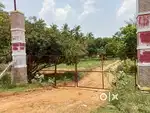Farm land for sale at Alagarkovil Near