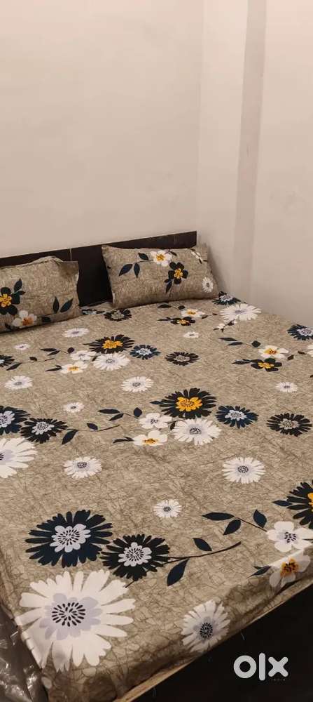 Co-living pg boys girls both are allowed for rent