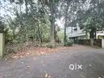 15 CENT ORGINAL LAND IN KAKKANAD INFOPARK NEAR KUZHIKATTUMOOLA