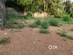 Kollam chinnakada near Aasharam Maidanam 7 Cent