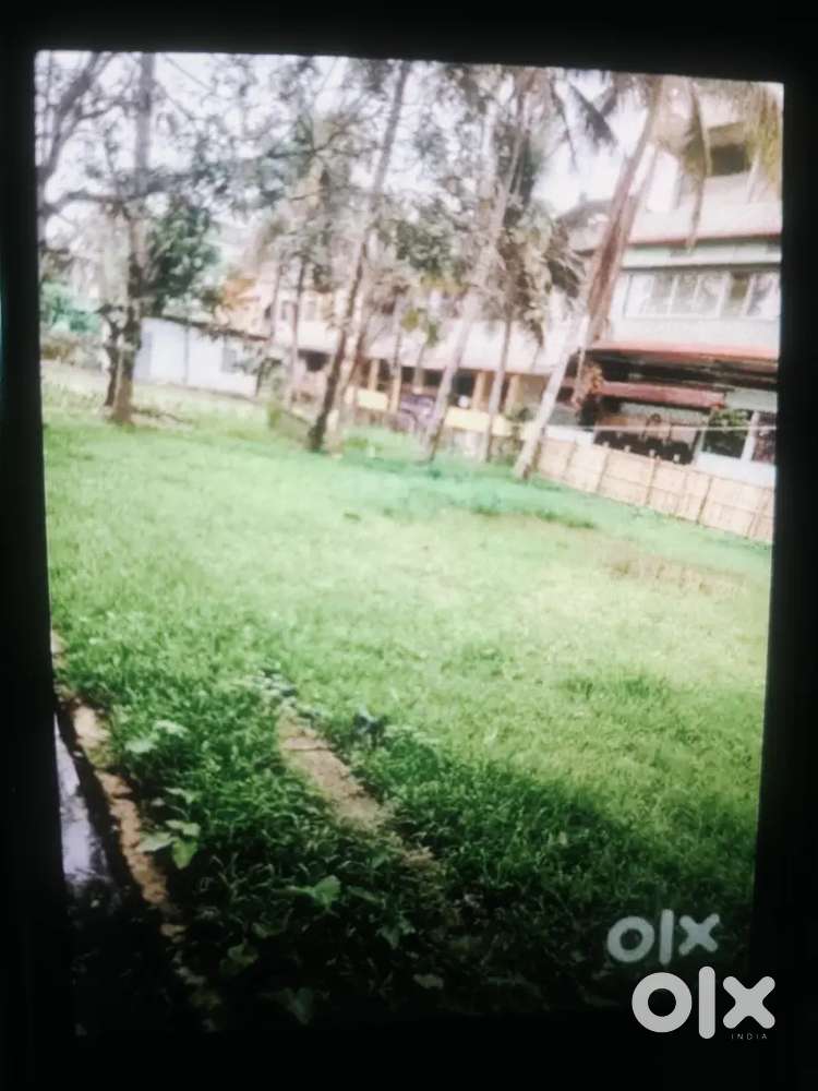 Kuno ba kahar khali jaga thakle amar songe contact korben .amar lage