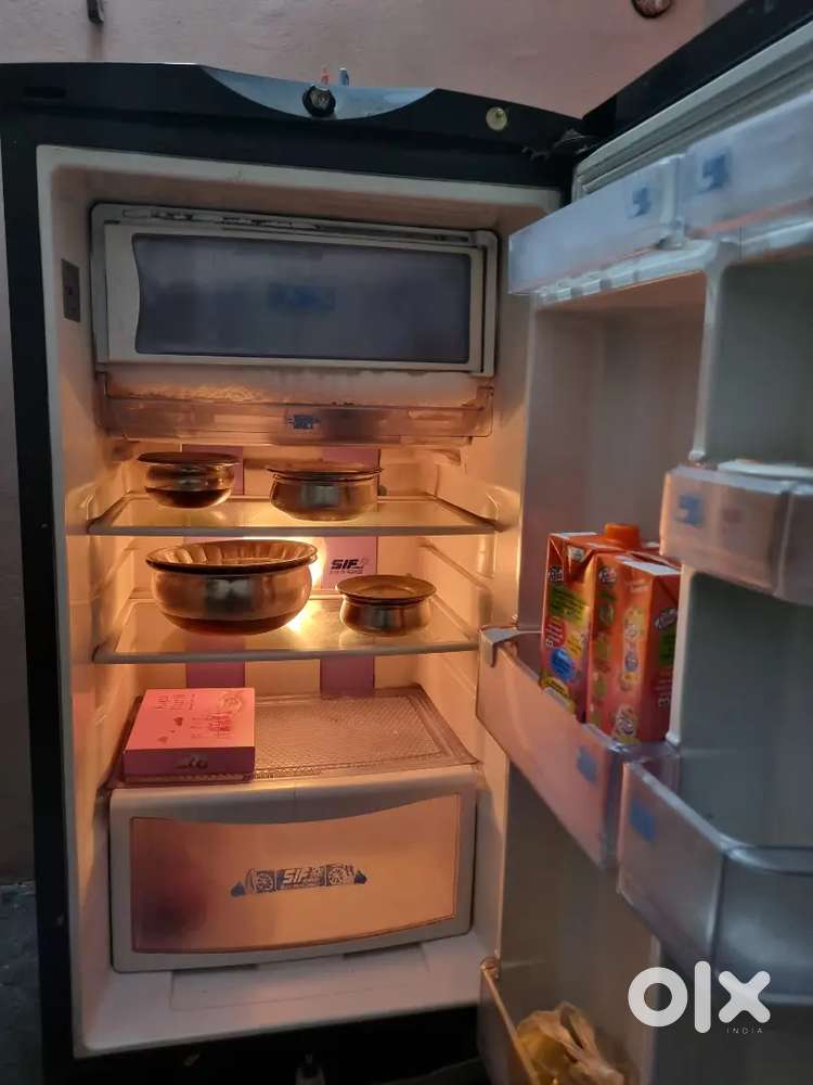Refrigerator in Excellent Condition – Great Deal!